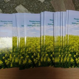 2018 12 11 seminaras